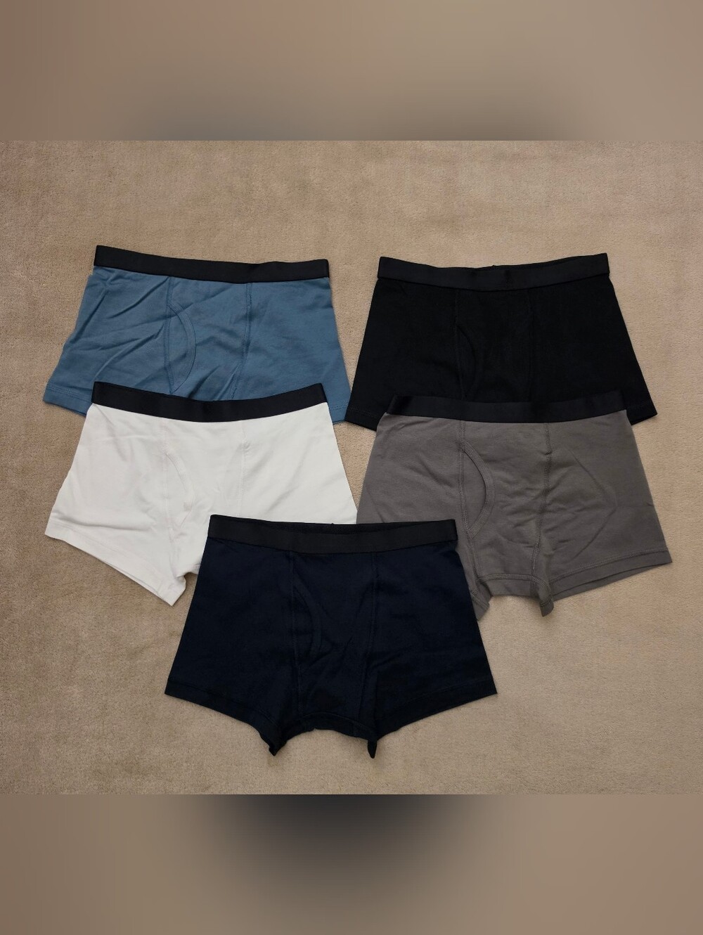 Quince Boy Multi-Color 5 Pack Organic Briefs Size 10 NWOT